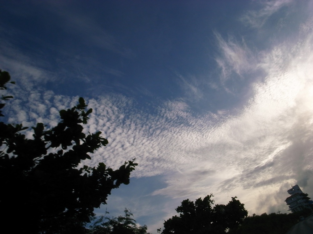 c0132571_16515653.jpg