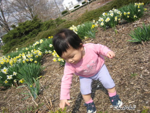 c0060573_13484191.jpg