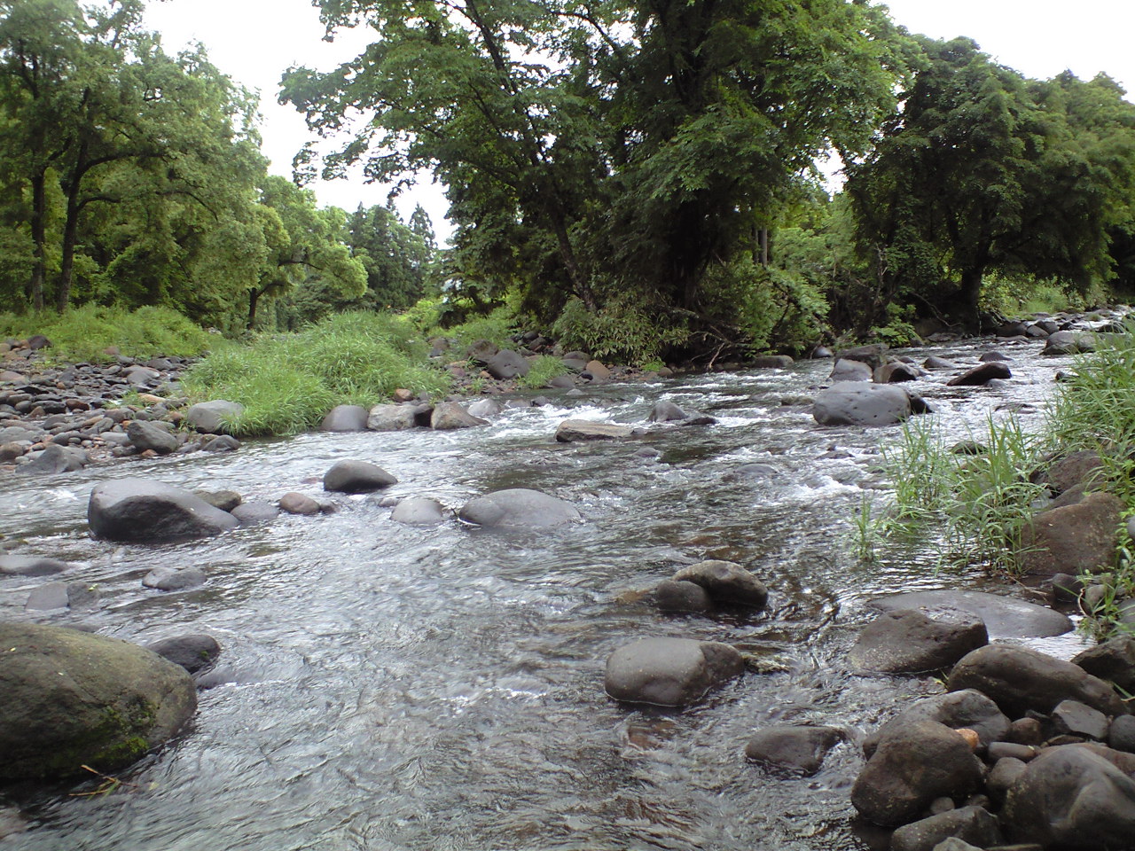 a0093677_22334017.jpg