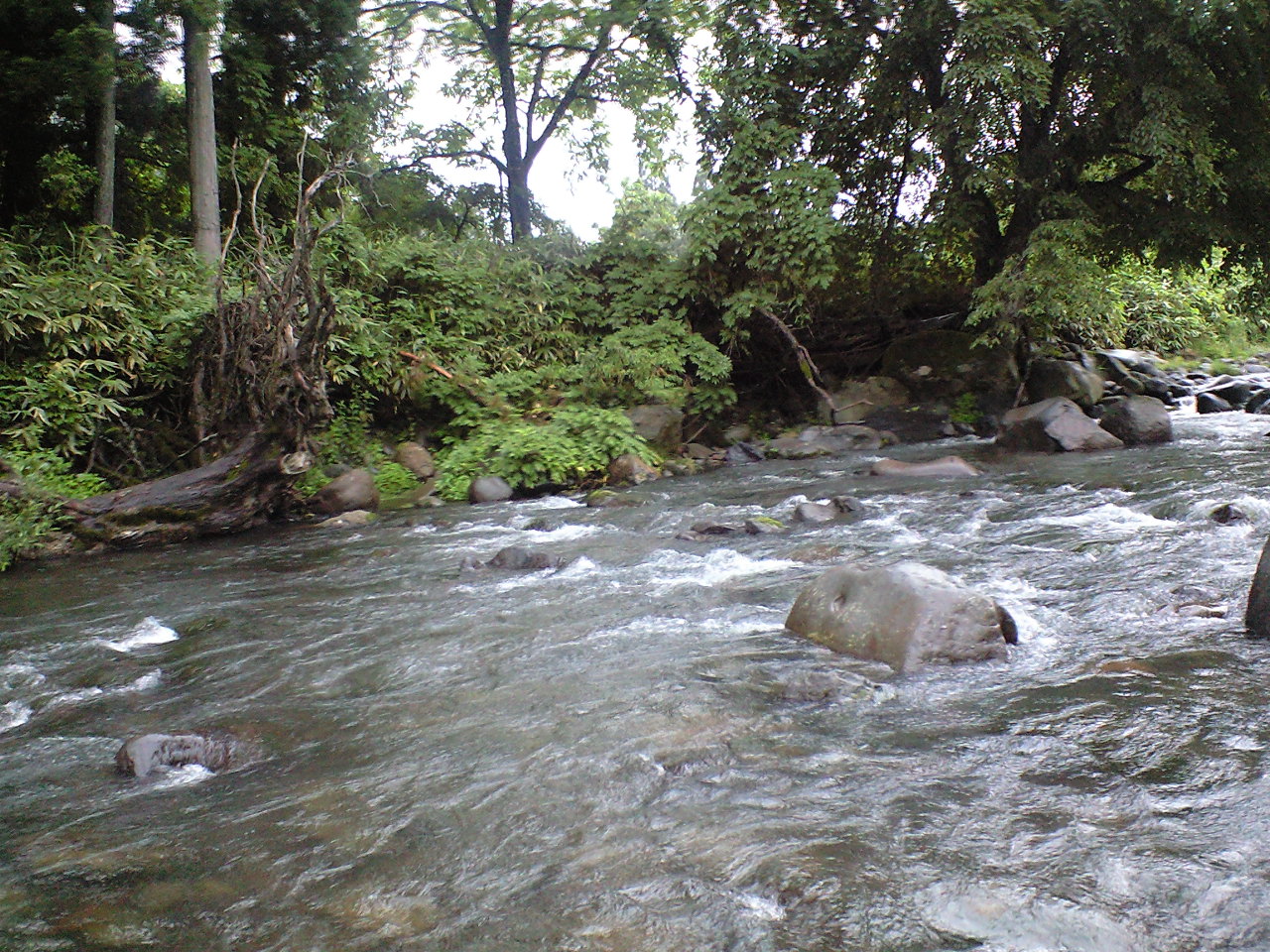 a0093677_22473465.jpg