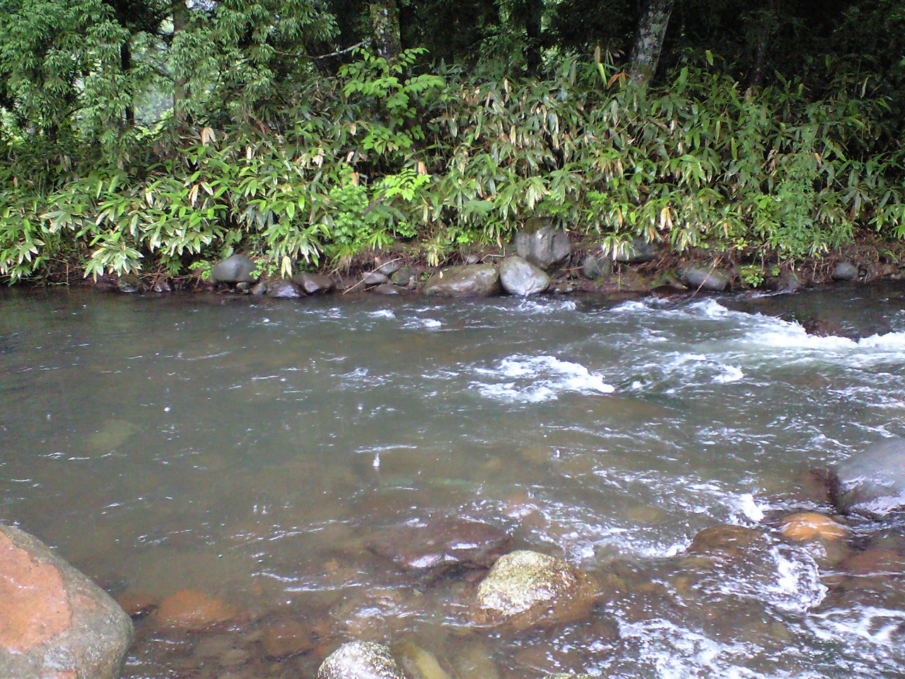 a0093677_23102994.jpg