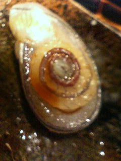 f0054677_7112011.jpg
