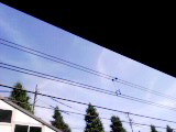 c0123679_18323510.jpg