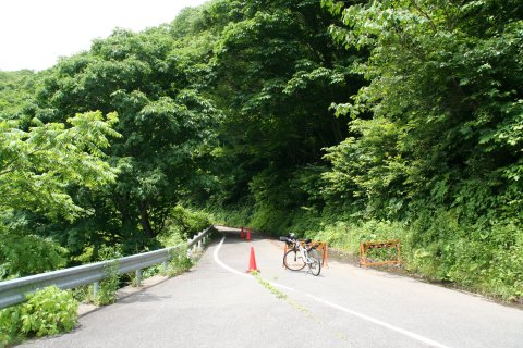 a0060882_2203059.jpg