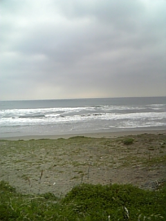 c0096582_845742.jpg