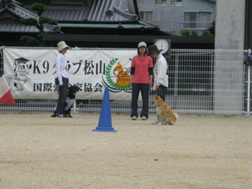 d0137083_2253199.jpg