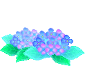 a0109288_233913.gif