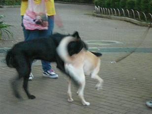 c0123890_236766.jpg