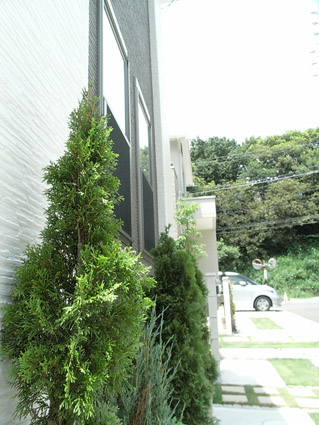 c0096393_22461167.jpg