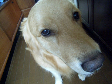 c0096393_22473066.jpg