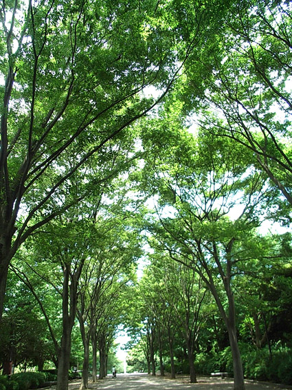 c0096393_22491229.jpg
