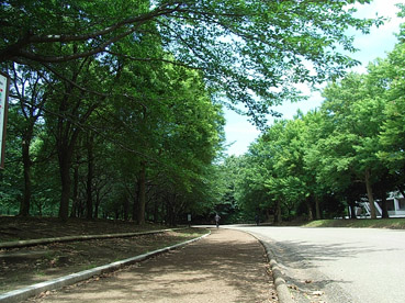 c0096393_22513022.jpg