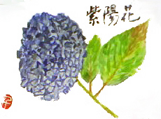 f0008597_2182223.jpg