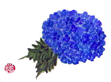 f0008597_2183797.jpg
