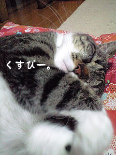 c0035001_17161311.jpg