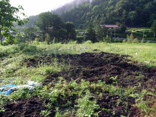 f0135908_0115836.jpg