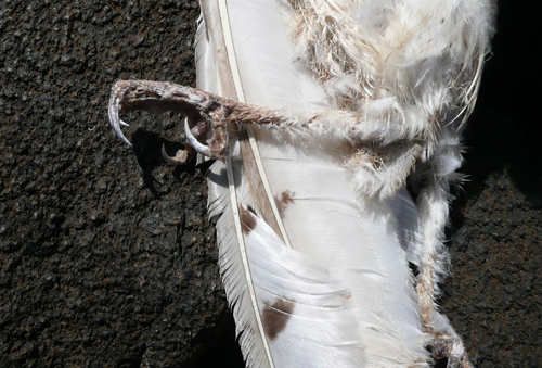 c0127909_8123095.jpg