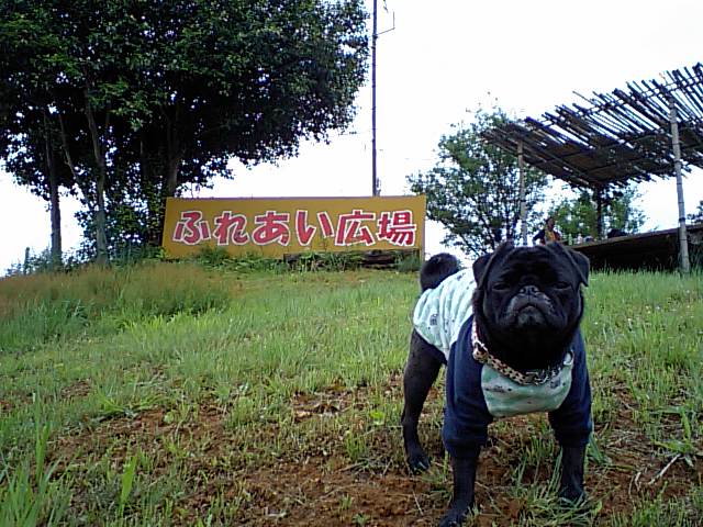 a0074110_0395153.jpg