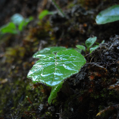 c0026612_1720423.jpg