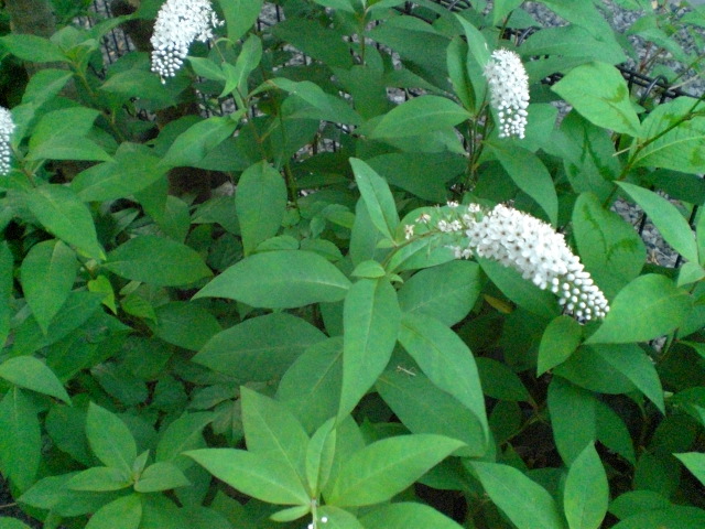 f0111128_021059.jpg