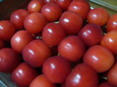e0134032_21274210.jpg