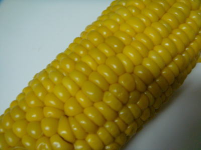 e0134032_2128740.jpg