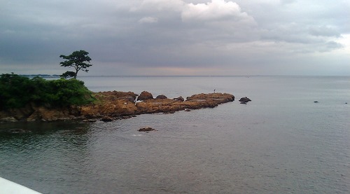 c0083439_15304968.jpg