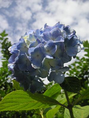b0001044_029858.jpg