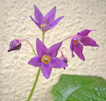 a0001354_2142433.jpg