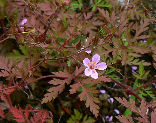 d0091754_042068.jpg