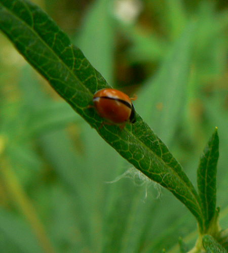 d0091754_18494286.jpg