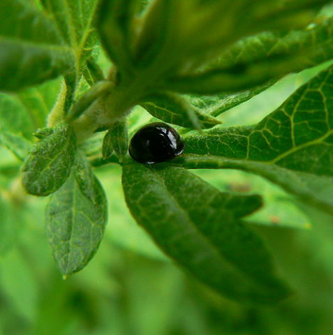 d0091754_21382821.jpg