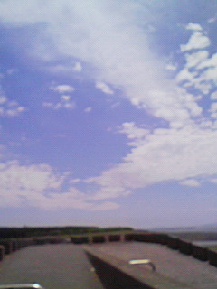 f0057456_238877.jpg