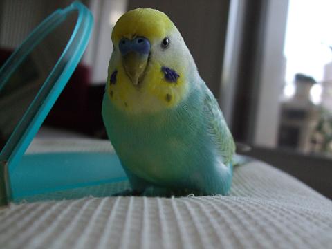 f0149057_23312730.jpg