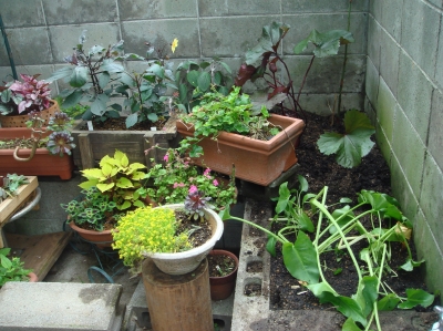 c0108460_20394363.jpg