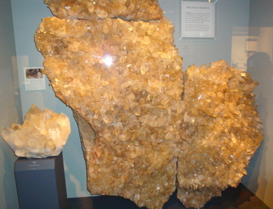 d0131460_481078.jpg