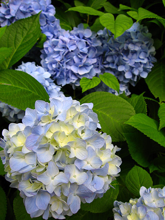 c0104371_13145463.jpg