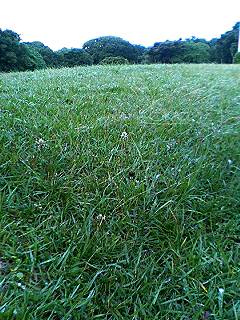 f0054677_6483698.jpg