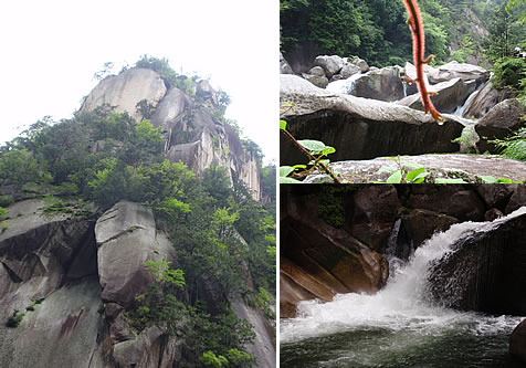 d0074578_1229114.jpg