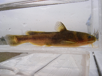 c0091679_2136533.jpg