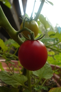 c0135480_0123476.jpg