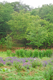 a0062983_158571.jpg