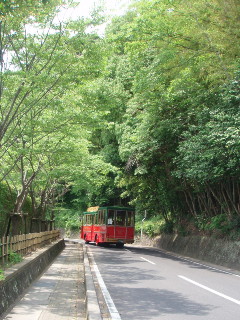 d0098183_834565.jpg