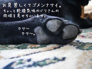 b0000885_1411527.jpg