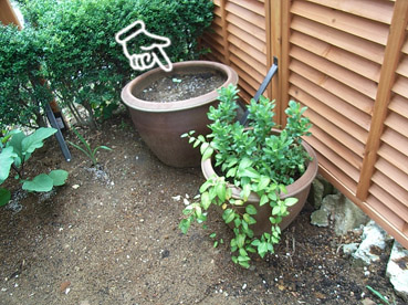 c0096393_21332715.jpg