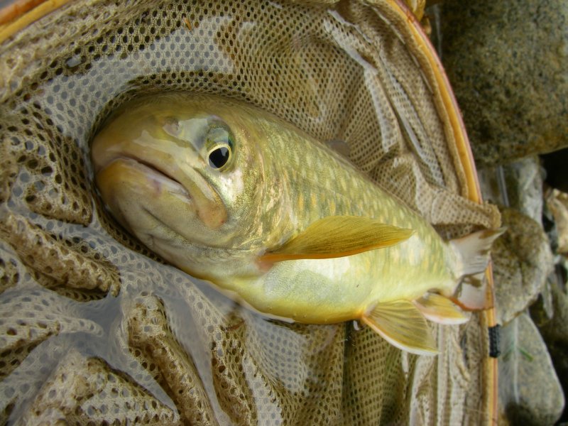 f0129994_16121645.jpg