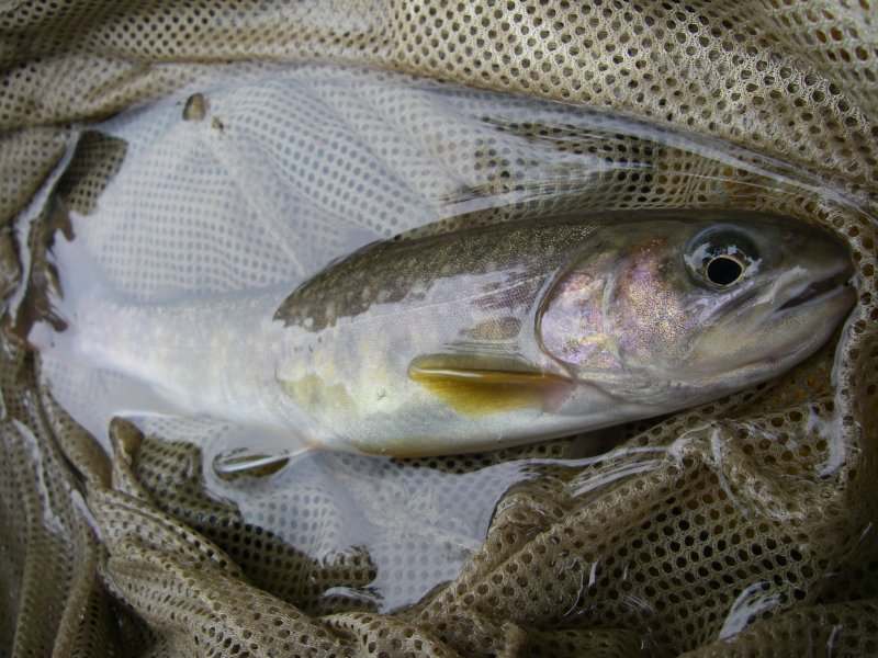 f0129994_16124966.jpg