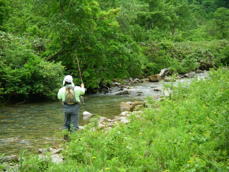 f0129994_1624750.jpg