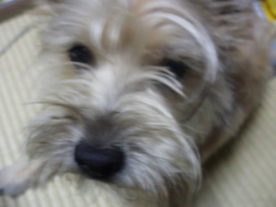 c0086895_22123157.jpg