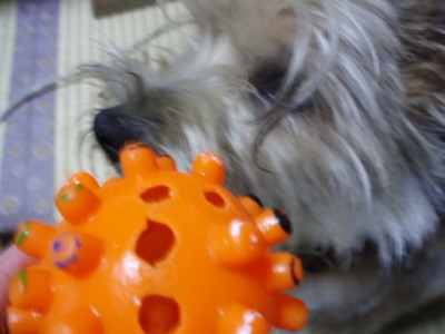 c0086895_221861.jpg